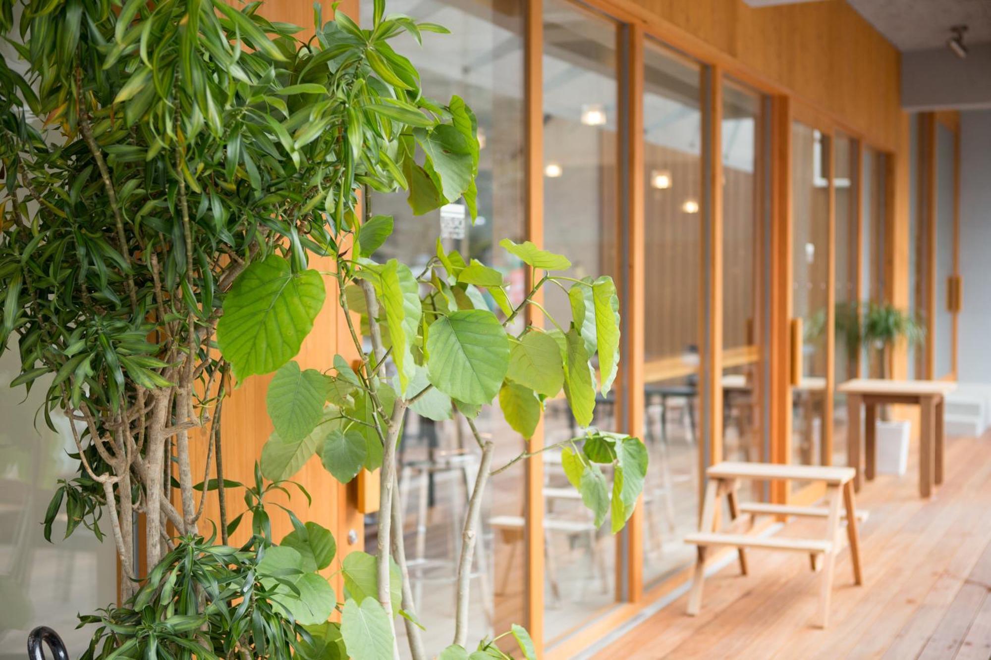 Hotel Tsuchiya Kinosaki Onsen Toyooka  Zewnętrze zdjęcie